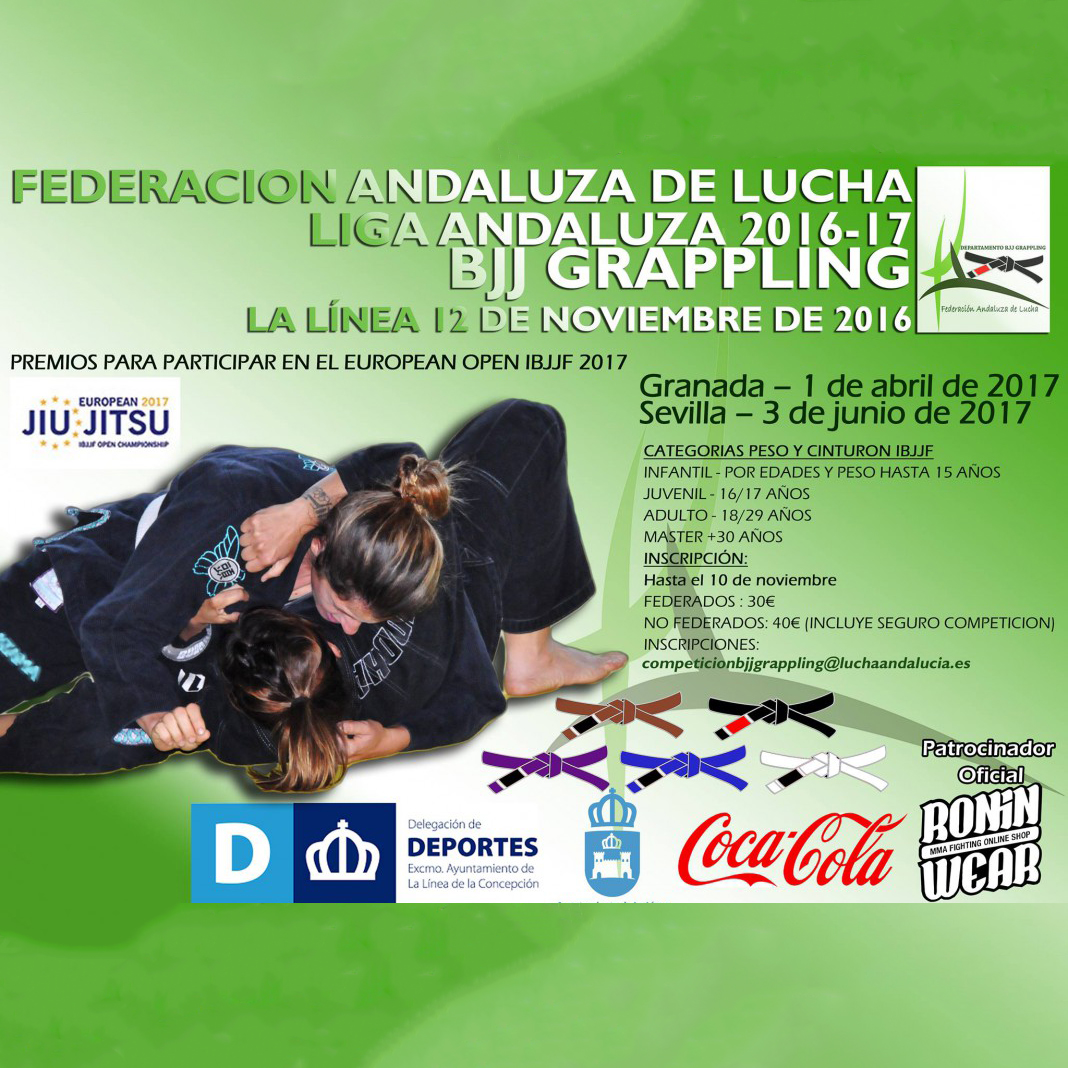 Liga Andaluza 2016